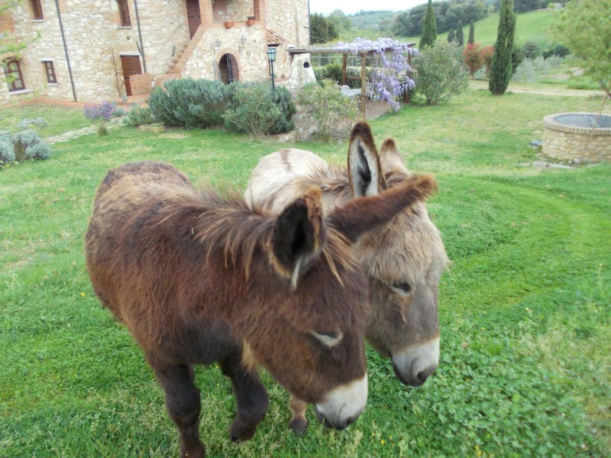 Le Pergoline B&B Casciana Terme Exterior photo