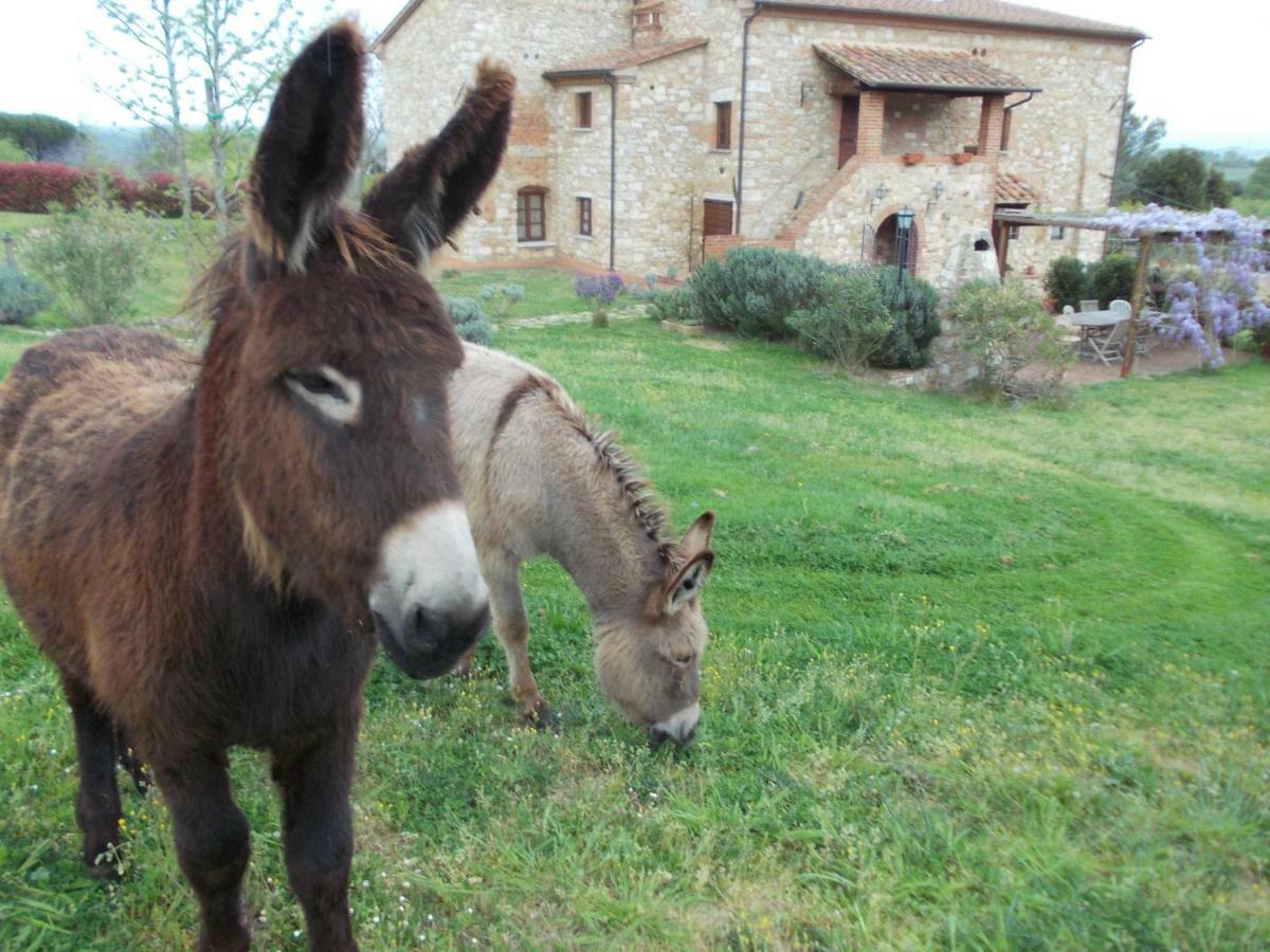 Le Pergoline B&B Casciana Terme Exterior photo